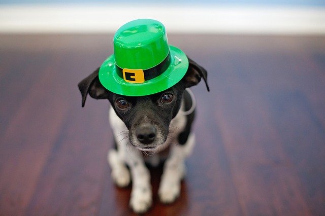 St Patrick's Day