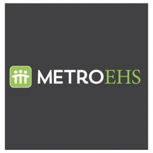 Metro EHS Mental Health Services for Children and Families