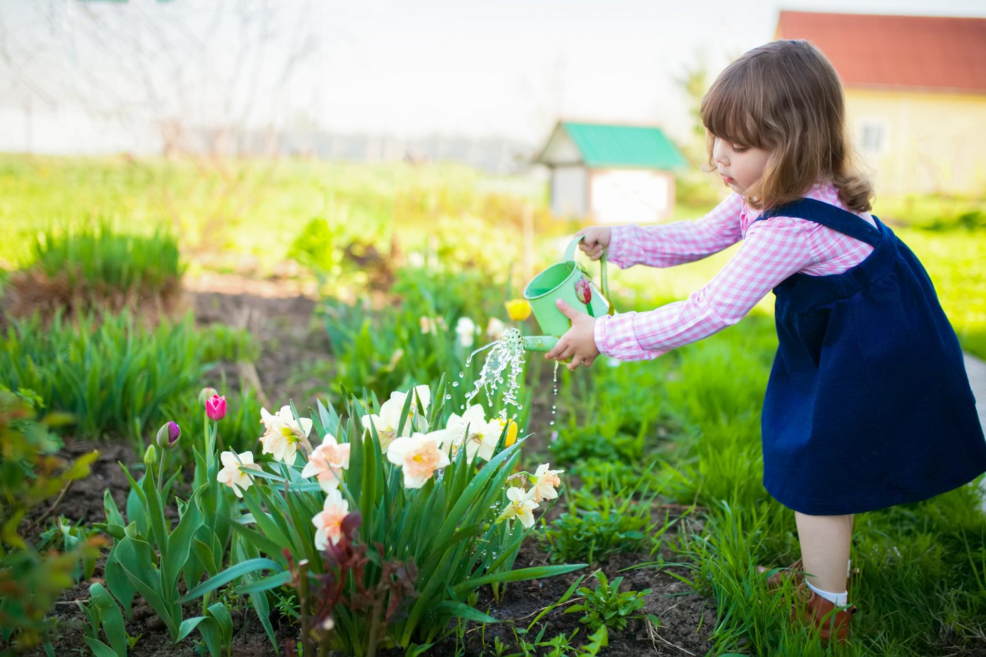 Spring Time Activities